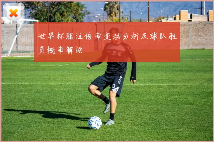 世界杯赌注倍率变动分析及球队胜负概率解读