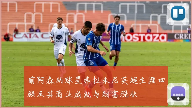 前阿森纳球星弗拉米尼英超生涯回顾及其商业成就与财富现状