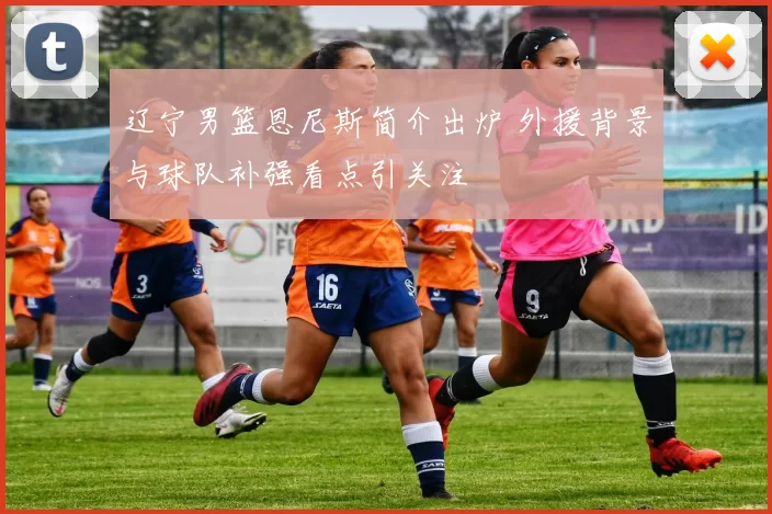 辽宁男篮恩尼斯简介出炉 外援背景与球队补强看点引关注