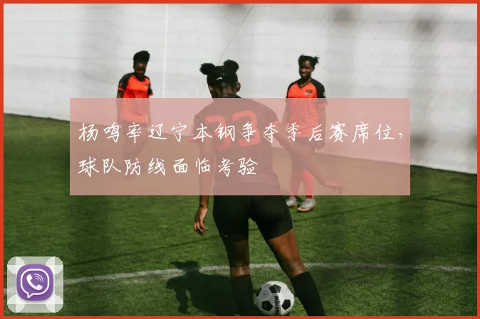 杨鸣率辽宁本钢争夺季后赛席位，球队防线面临考验