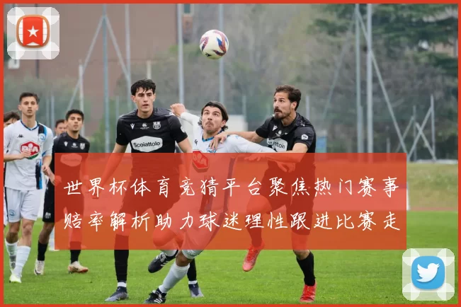世界杯体育竞猜平台聚焦热门赛事赔率解析助力球迷理性跟进比赛走势