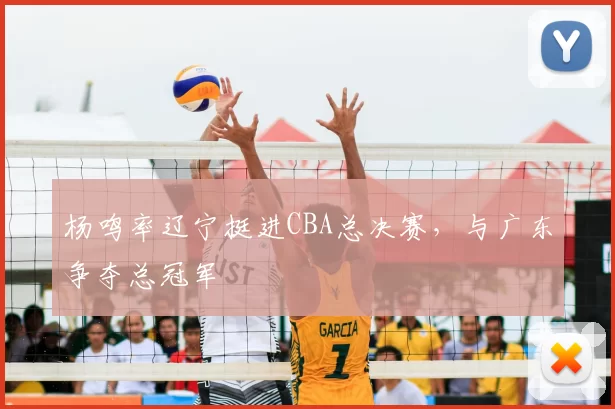 杨鸣率辽宁挺进CBA总决赛,与广东争夺总冠军