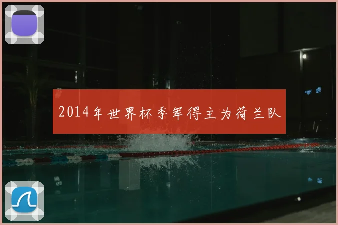 2014年世界杯季军得主为荷兰队